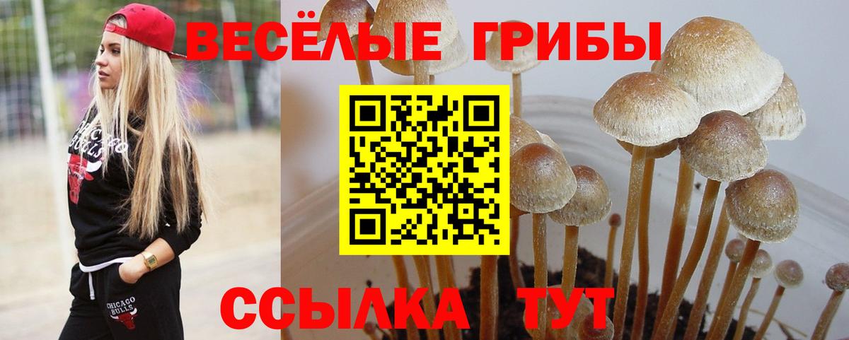 Псилоцибиновые грибы мицелий  Вход с VPN  Псилоцибиновые грибы мухоморы  Михайловка 
